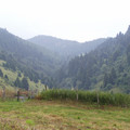 Malghe2005_037.jpg